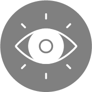 Vision Icon